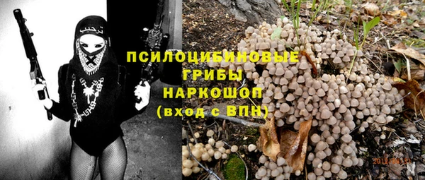 спиды Алексеевка