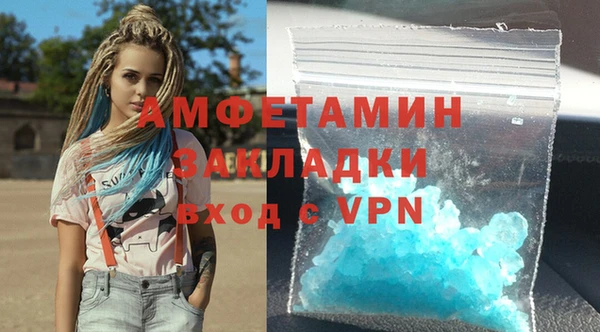 прущие грибы Абаза