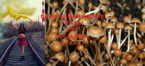 спиды Алексеевка