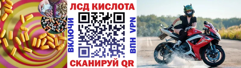 где купить наркоту  Сураж  LSD-25 экстази кислота 