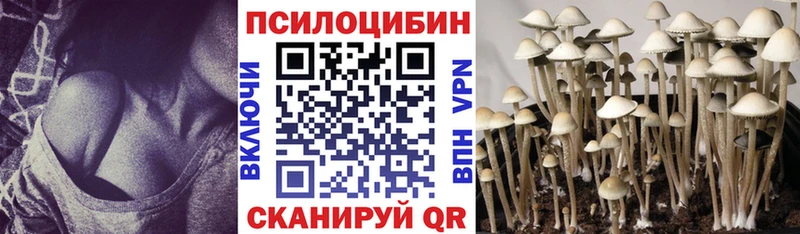 Псилоцибиновые грибы Cubensis  наркота  hydra ССЫЛКА  Сураж 